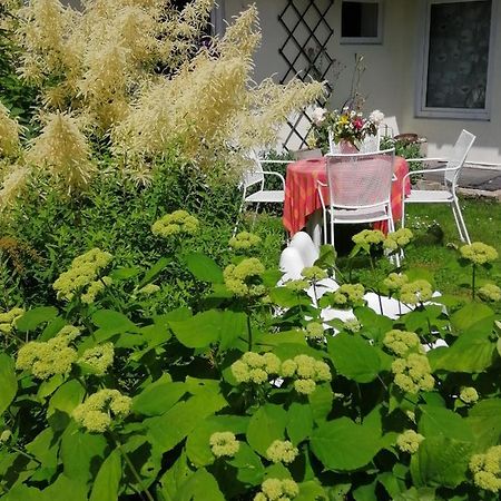 Villa Secret Garden House In The Center Of Sigulda Esterno foto