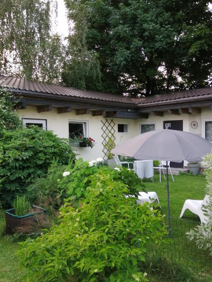 Villa Secret Garden House In The Center Of Sigulda Esterno foto
