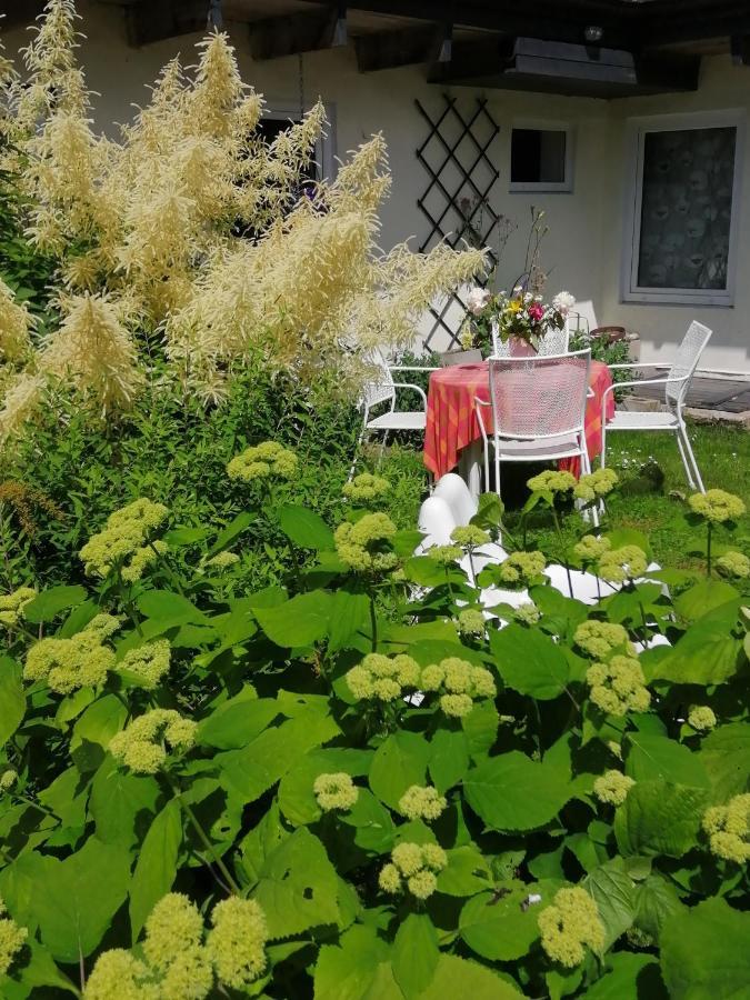 Villa Secret Garden House In The Center Of Sigulda Esterno foto