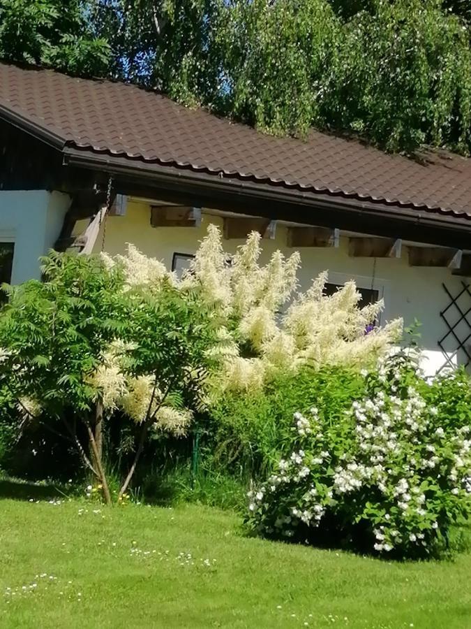 Villa Secret Garden House In The Center Of Sigulda Esterno foto